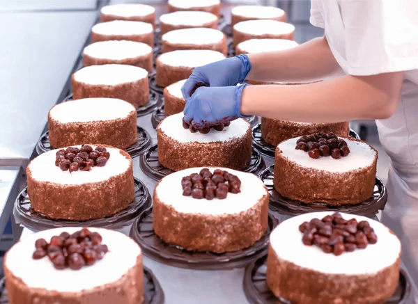 Pastry chef girl makes a cake from fresh biscuit berries and cream. Mass production of cakes and sweets, confectionery factory