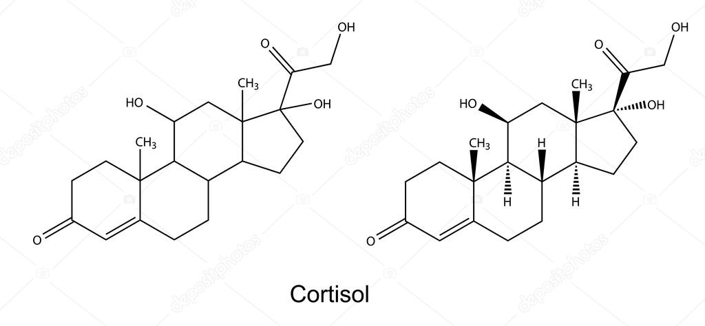 CORTISOLO SCARICA