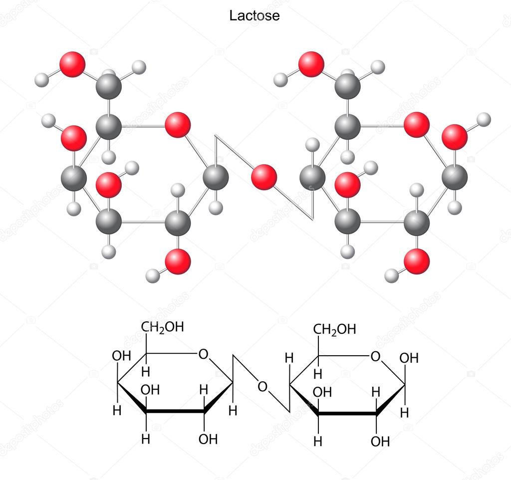 lactose formula