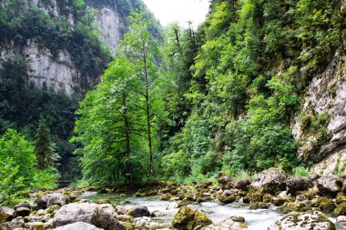 Abhazya dağlarında dağ Nehri