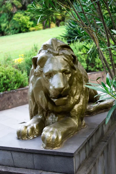 Скульптура "Золотой лев" в парке Дендрарий Сочи — стоковое фото