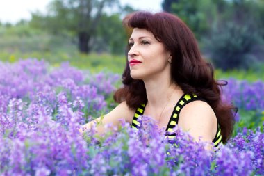 bir peri glade rüyalarda