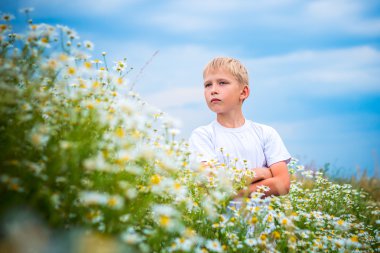 romashkova alan adam