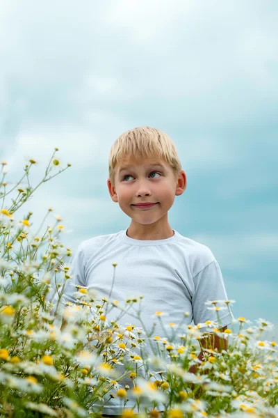Boy on Romashkova field — Stock Photo, Image