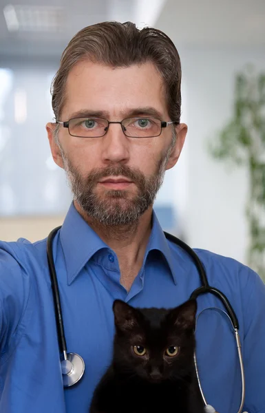 Veterinär innehar svart kattunge — Stockfoto