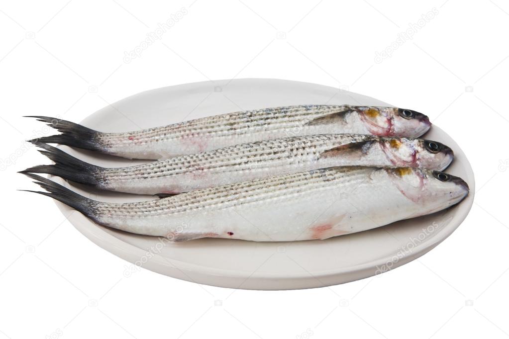 three gray mullet fish on plate