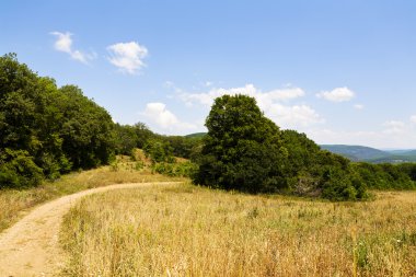 bir alandaki asfaltsız yol