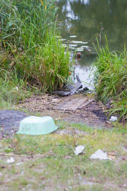 Çevre kirliliği. Parktaki gölde çöp.