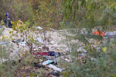 Çevre kirliliği. Parktaki gölde çöp.