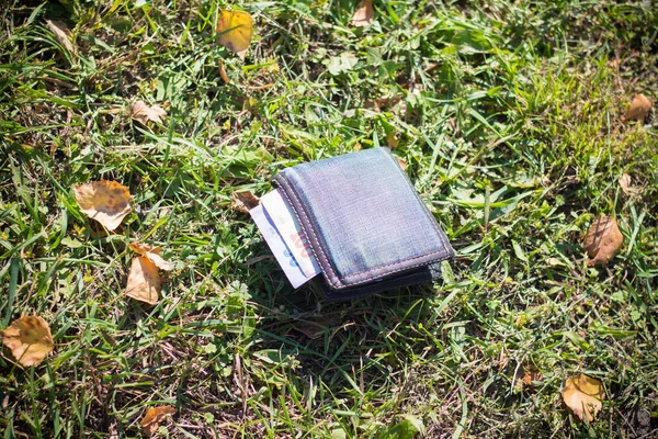Lost wallet on the grass in a park in the city