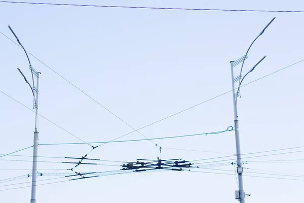 Tramvay Otobüsleri Için Yüksek Voltajlı Elektrik Hattı Doğrunun Kesişimi — Stok fotoğraf