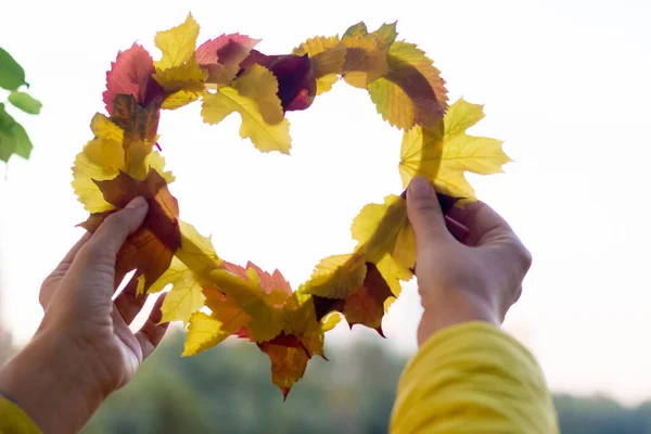 Cuore Fatto Foglie Autunnali Uno Sfondo Del Cielo — Foto Stock