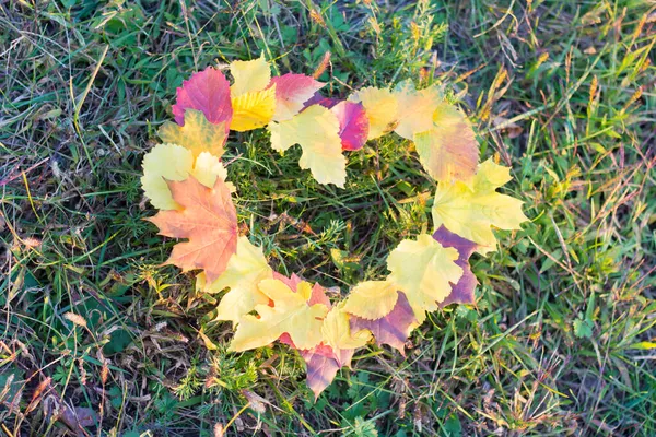 Hart Gemaakt Van Herfstbladeren Het Gras — Stockfoto