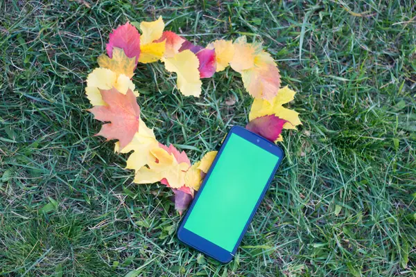 Ein Herz Aus Herbstblättern Auf Dem Gras Und Ein Telefon — Stockfoto