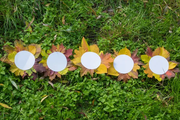 Белые Круги Осенними Листьями Круглые Осенние Рекламные Баннеры Зеленой Траве — стоковое фото