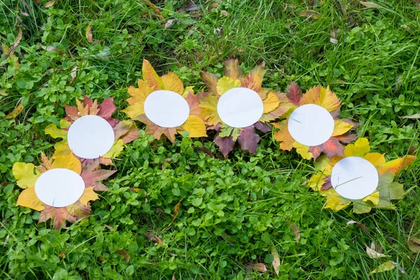 White circles with autumn leaves. Round autumn advertising banners. On the green grass.