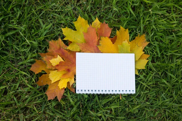 Hojas Amarillas Cuaderno Sobre Hierba Verde Otoño — Foto de Stock