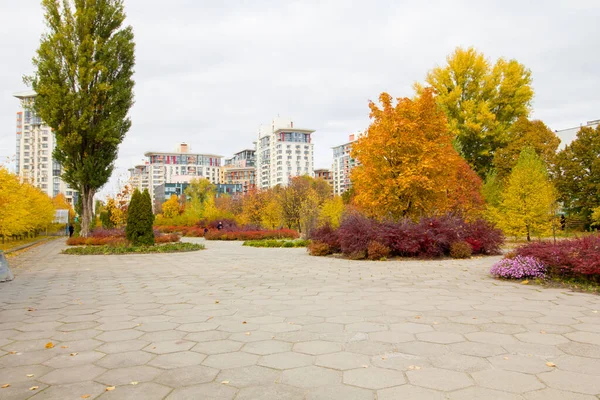 高层建筑附近有黄叶的树 基辅塔拉斯舍甫琴科大学附近的广场 — 图库照片