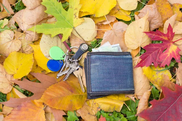 Μια Τσάντα Κλειδιά Χάνεται Στα Φθινοπωρινά Φύλλα — Φωτογραφία Αρχείου