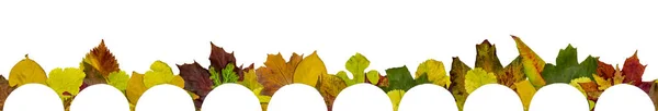 Осенние Листья Полосы Заголовок Осенняя Граница — стоковое фото