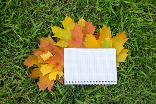 Κίτρινα Φύλλα Και Σημειωματάριο Στο Πράσινο Γρασίδι Φθινόπωρο — Φωτογραφία Αρχείου