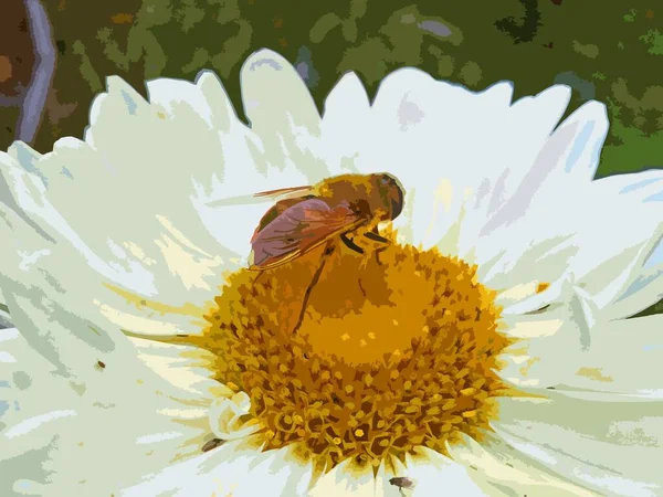 Hmyz Nachází Květ — Stockový vektor