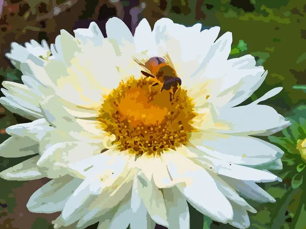 Insecte Est Assis Sur Une Fleur — Image vectorielle