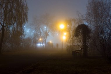 Sonbahar parkında akşam sis var. Troeshchina 'daki Gençlik Parkı