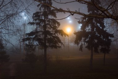 Sonbahar parkında akşam sis var.