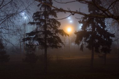 Sonbahar parkında akşam sis var.