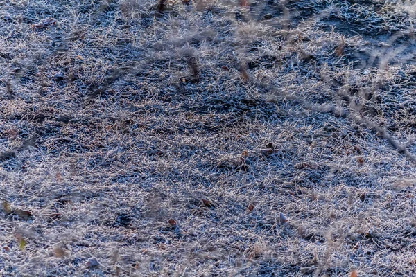 晚秋草地上的霜 — 图库照片