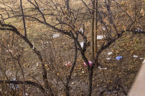環境汚染 キエフの路上で多くのゴミ — ストック写真