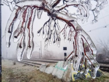 Sonbaharın sonlarında ağaçlarda ve çimlerde buz