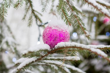 Karla kaplı Noel ağaçları ve açık havada Noel oyuncakları