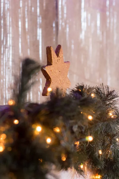 圣诞树上的花环和树枝上挂着一颗圣诞星 — 图库照片