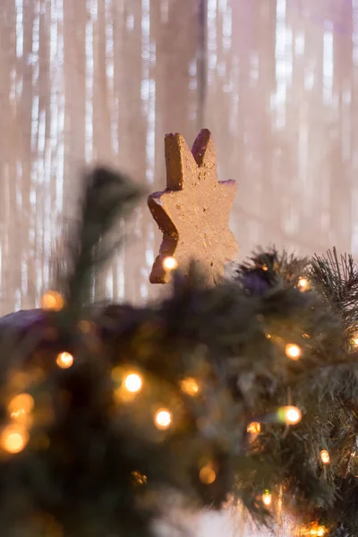 Weihnachtsstern Über Einem Kranz Und Ästen Eines Weihnachtsbaums — Stockfoto