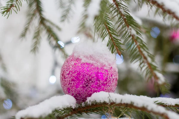 白雪覆盖的圣诞树 户外放着圣诞玩具 — 图库照片