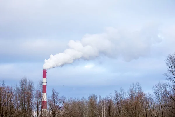 Дым Идет Высокого Дымохода Над Лесом Загрязнение Окружающей Среды — стоковое фото