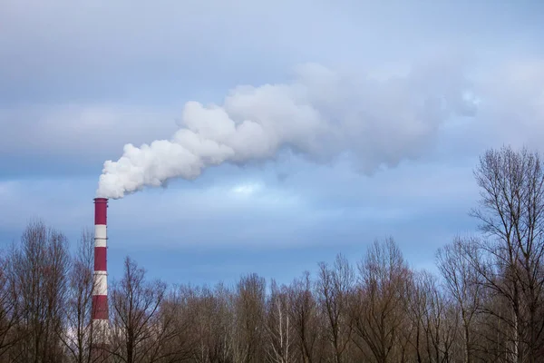 Дым Идет Высокого Дымохода Над Лесом Загрязнение Окружающей Среды — стоковое фото