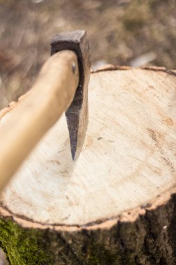 Rusya ile savaşta Ukrayna 'da bir evi ısıtmak için odun kesmek.