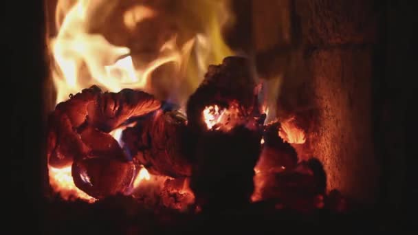 Tűzifa Tűzhelyen Fűtés Szobában Hideg Évszakban — Stock videók