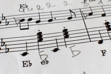 Notalar nota kağıdına. çocuk öğrenme müziği