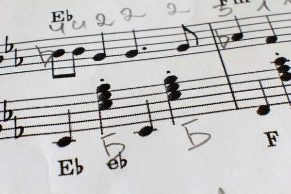 Notalar nota kağıdına. çocuk öğrenme müziği