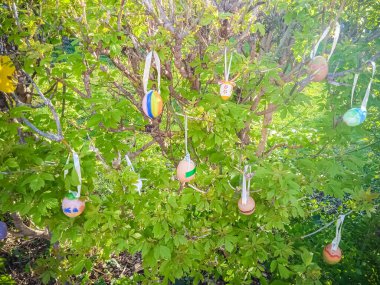 Paskalya yumurtaları ağaca asılır.