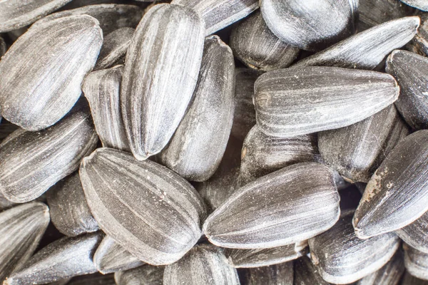 Sunflower Seeds Peel Close — стоковое фото