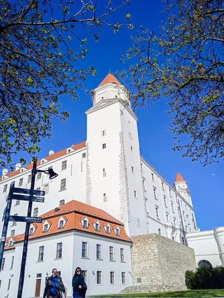 Zamek Bratysławie Zamek Słowacji — Zdjęcie stockowe