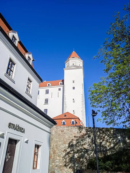 Castle Bratislava Castle Slovakia — 图库照片