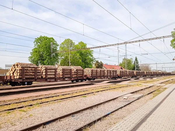 Freight wagons with logs at the station