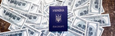 Pasaport ve banknotlar. Ukrayna vatandaşlarının Avrupa 'ya Gidişleri