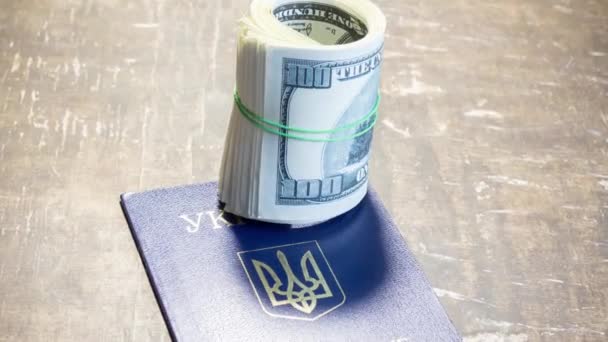 Banknoten Auf Dem Pass Der Ukraine Schwierigkeiten Beim Grenzübertritt Aufgrund — Stockvideo